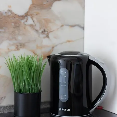 Elegant With Ac 550 M To Copernicus Science Centre By Renters *